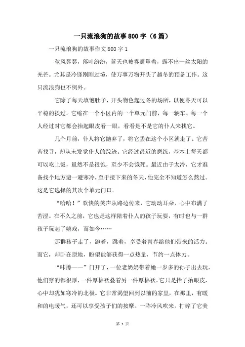 一只流浪狗的故事800字(6篇)