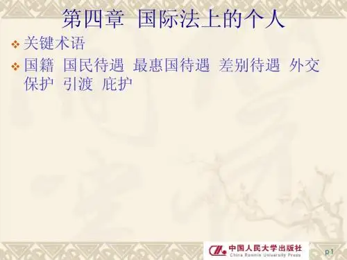 国际法课件第四章