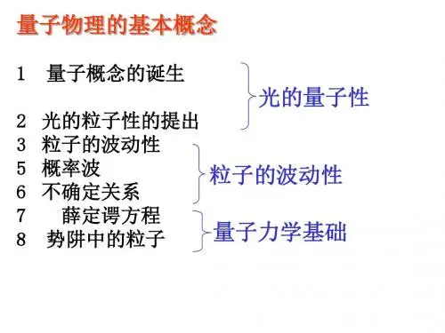 24量子物理的基本概念