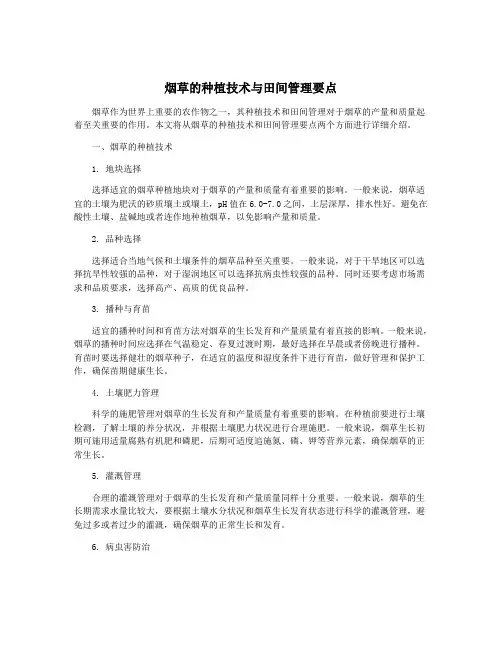 烟草的种植技术与田间管理要点