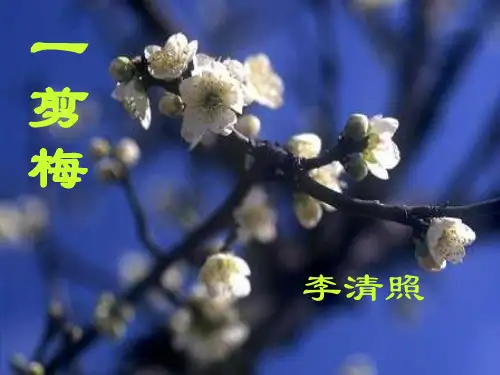 《一剪梅-李清照》ppt课件1