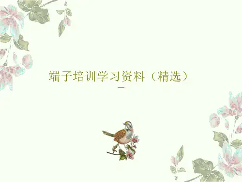 端子培训学习资料(精选)25页PPT