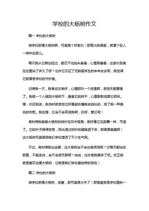 学校的大杨树作文