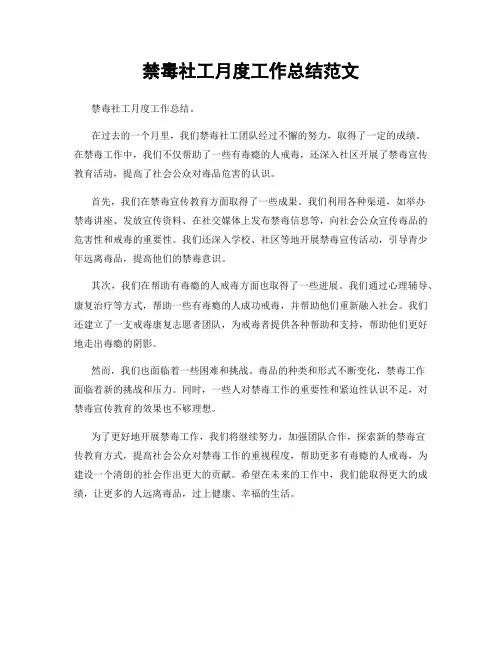 禁毒社工月度工作总结范文