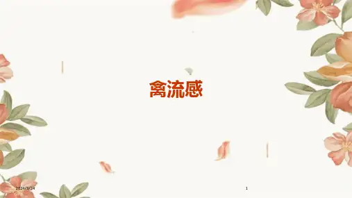 2024年度禽流感