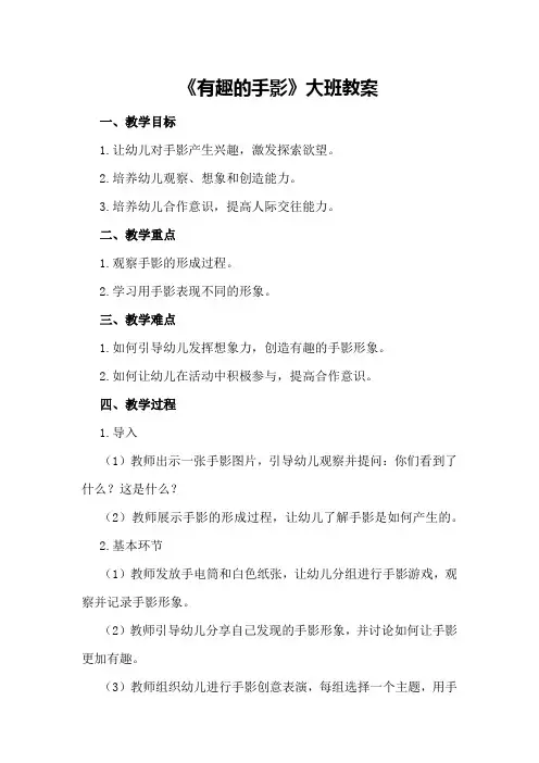 《有趣的手影》大班教案