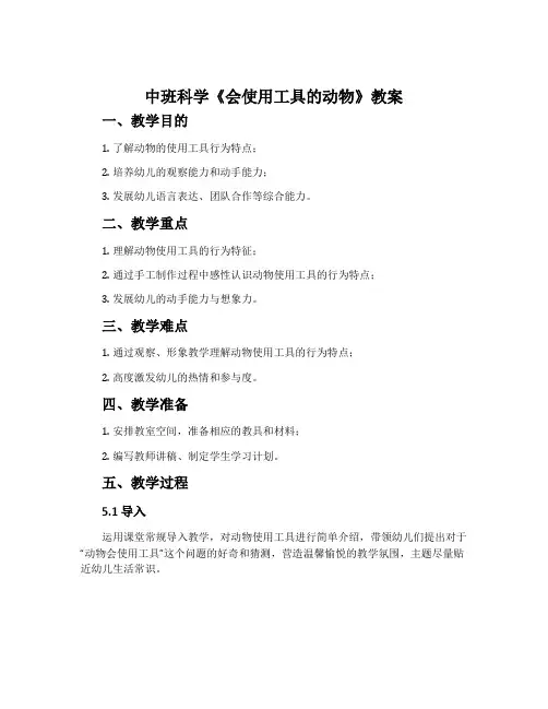 中班科学《会使用工具的动物》教案
