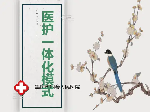 医护一体化模式
