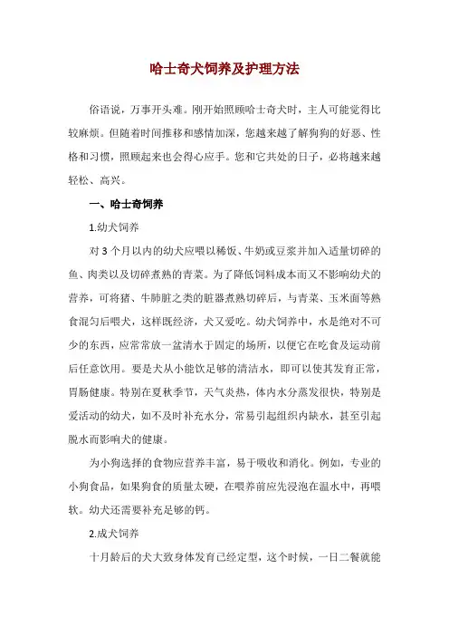 哈士奇犬饲养及护理方法