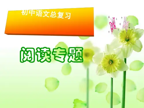 初中语文总复习--阅读专题PPT PPT课件 图文