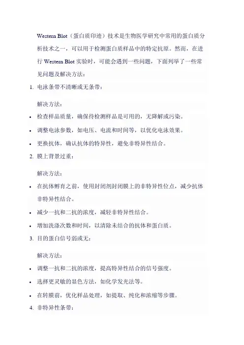 Western Blot常见问题及解决方法