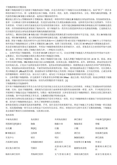 干细胞移植治疗糖尿病