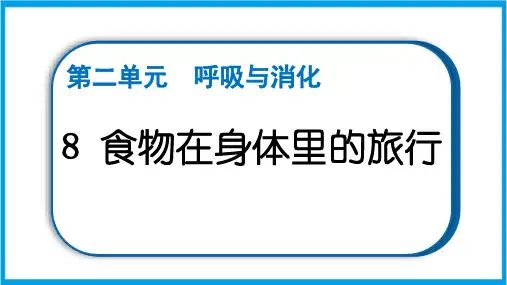新教科版四年级上册科学 2-8 食物在身体里的旅行  重点题型练习课件