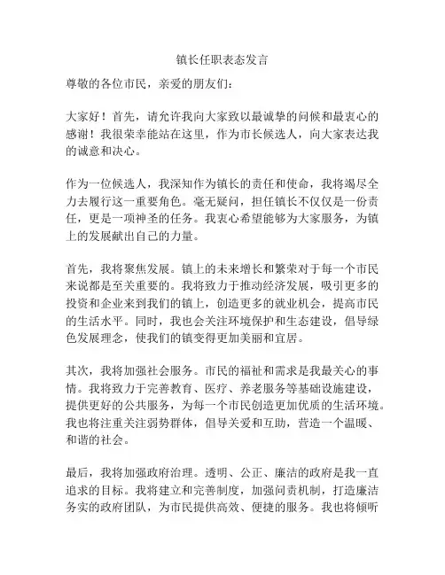 镇长任职表态发言