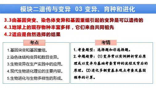 模块二遗传与变异03 变异、育种和进化-2023年高考生物二轮复习课件