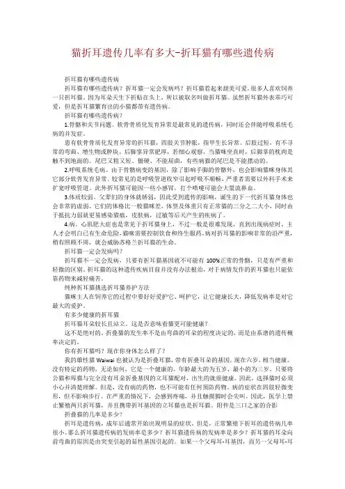 猫折耳遗传几率有多大-折耳猫有哪些遗传病