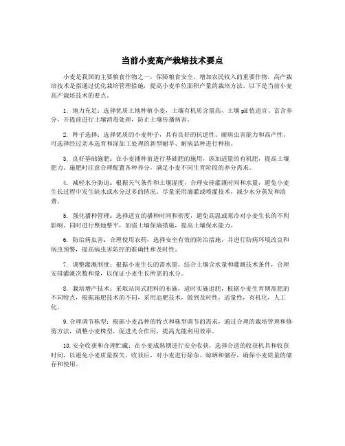 当前小麦高产栽培技术要点