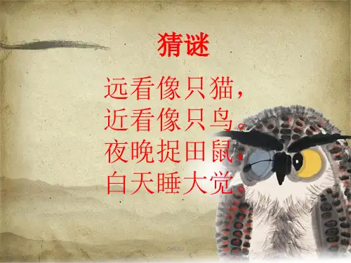 学画中国画-猫头鹰PPT课件