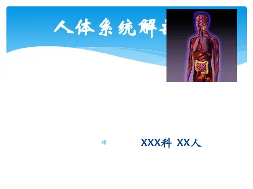 人体解剖课件PPT