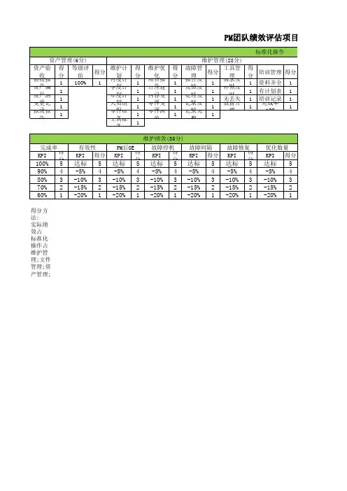 PM团队绩效考核项目评分表