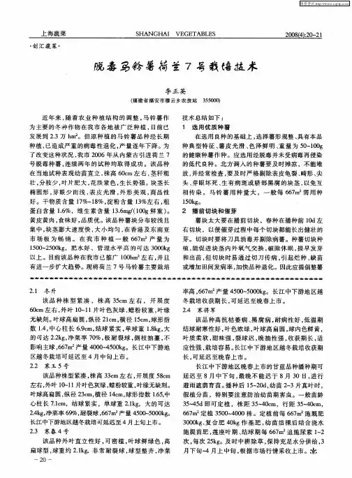 脱毒马铃薯荷兰7号栽培技术