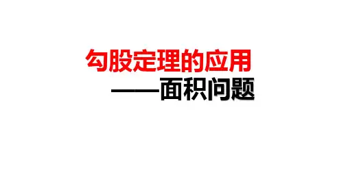 17.1勾股定理的应用  面积问题  正式稿5