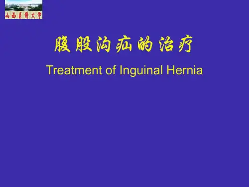 直疝与斜疝的鉴别和诊断课件