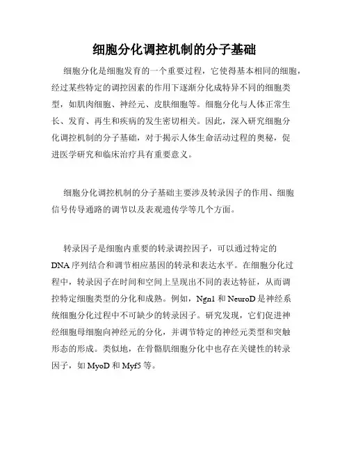 细胞分化调控机制的分子基础