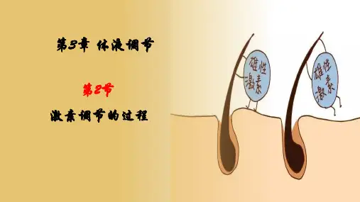 3-2 激素调节的过程 课件-高中生物人教版(2019)选择性必修1 (2)