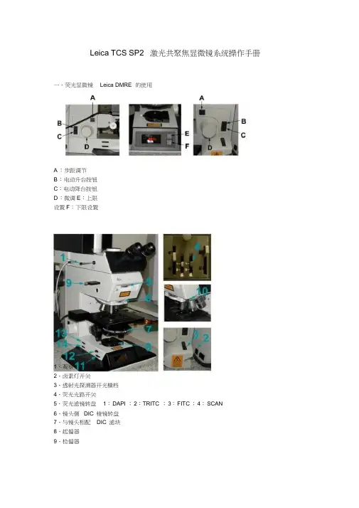 LeicaSp2共聚焦操作手册