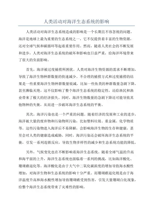 人类活动对海洋生态系统的影响