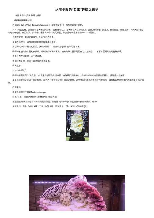 绚丽多彩的“贝王”砗磲之保护