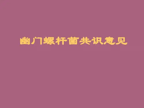 《幽门螺旋菌》ppt课件