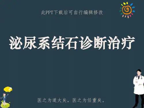 泌尿系结石诊断治疗PPT课件