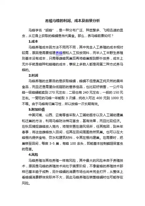 养殖马蜂的利润、成本及前景分析