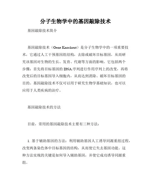 分子生物学中的基因敲除技术