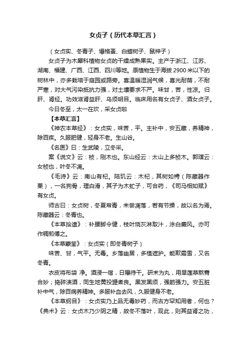 女贞子（历代本草汇言）