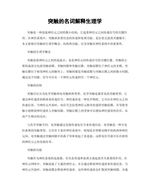 突触的名词解释生理学