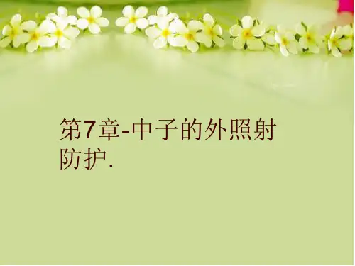 【精品】第7章-中子的外照射防护.PPT课件