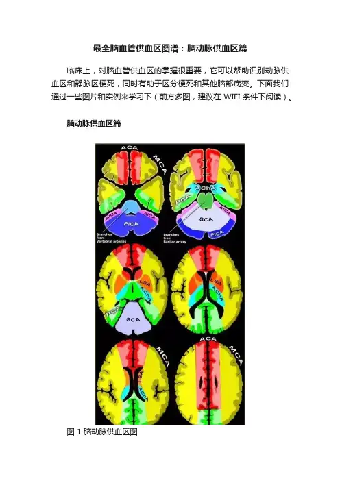 最全脑血管供血区图谱：脑动脉供血区篇