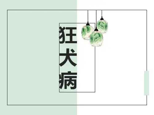 狂犬病-PPT课件