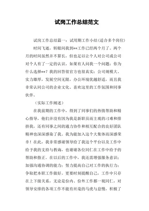 试岗工作总结范文