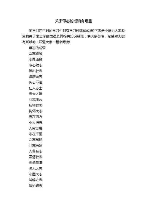关于带志的成语有哪些