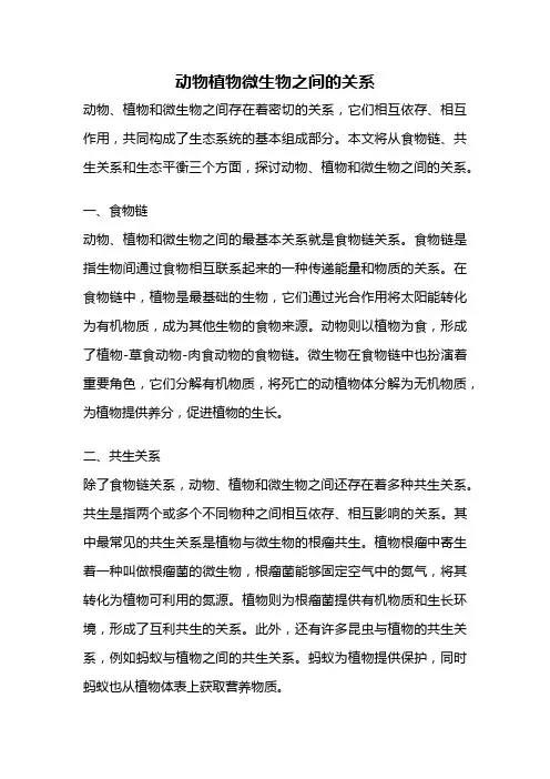 动物植物微生物之间的关系