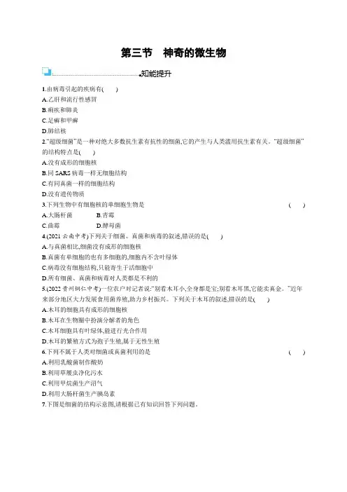 苏教版八年级生物上册第5单元第14章第3节神奇的微生物练习含答案