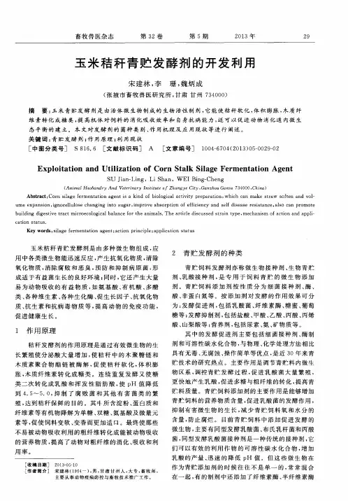 玉米秸秆青贮发酵剂的开发利用
