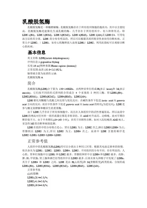 乳酸脱氢酶