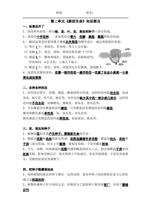 四年级下册科学第二单元知识要点