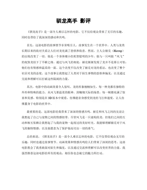 驯龙高手 影评