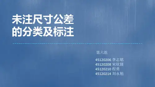 机械精度设计基础第6组未注尺寸公差